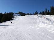 FIS-Abfahrt slope
