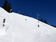 Beautifully steep - slope 12 “Devil's Run” on the Horberg