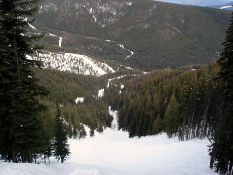 Ski resorts for advanced skiers and freeriding Western Canada – Advanced skiers, freeriders Silver Star
