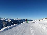 Winter high-altitude panoramic path at the Höfatsblick station