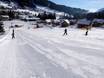 Ski resorts for beginners in the District of Liezen – Beginners Loser – Altaussee