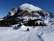 Tip for children  - Alpe di Siusi (Seiser Alm) toboggan runs