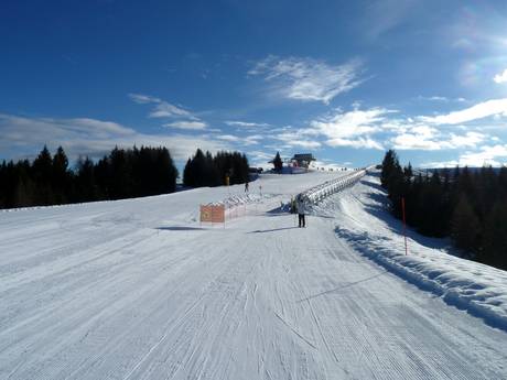 Ski resorts for beginners in the Skirama Dolomiti area of validity – Beginners Folgaria/Fiorentini