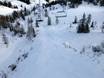 Ski resorts for advanced skiers and freeriding Ennstal – Advanced skiers, freeriders Flachauwinkl/Kleinarl (Shuttleberg)