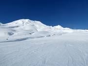 View of the freeride slopes in Tūroa
