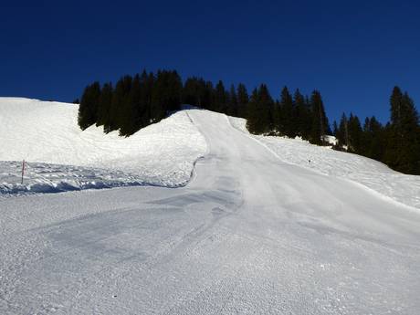 Ski resorts for advanced skiers and freeriding Tegernsee-Schliersee – Advanced skiers, freeriders Spitzingsee-Tegernsee