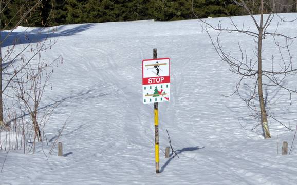 Saane Valley (Saanetal): environmental friendliness of the ski resorts – Environmental friendliness Rinderberg/Saanerslochgrat/Horneggli – Zweisimmen/Saanenmöser/Schönried/St. Stephan