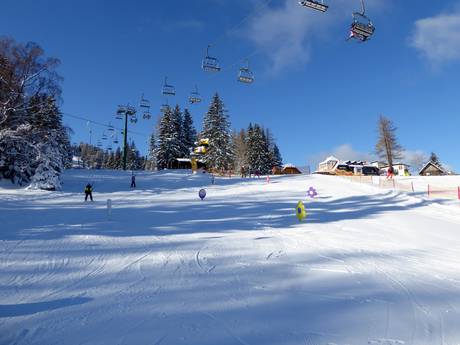 Family ski resorts Prealps East of the Mur  – Families and children Mönichkirchen/Mariensee