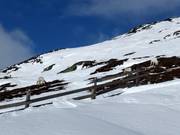 Reindeer at the edge of the slope in the ski resort of Hemavan