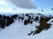 Ski resorts for advanced skiers and freeriding Coast Mountains – Advanced skiers, freeriders Mount Seymour