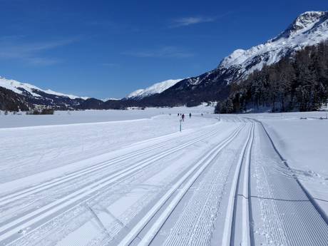 Cross-country skiing Eastern Switzerland – Cross-country skiing Corvatsch/Furtschellas