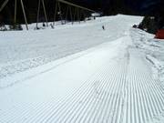 Groomed slope on the Wurzeralm