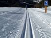 Cross-country skiing Reschen Pass (Passo di Resia) – Cross-country skiing Belpiano (Schöneben)/Malga San Valentino (Haideralm)