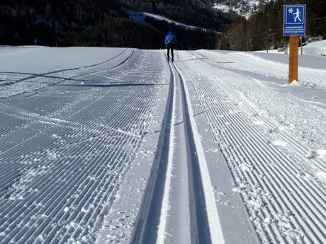 Cross-country skiing Sesvenna Alps – Cross-country skiing Belpiano (Schöneben)/Malga San Valentino (Haideralm)
