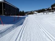 Cross-country trails in Kvitfjell