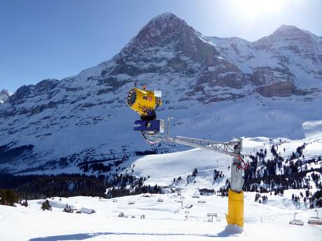 Snow reliability Bernese Oberland – Snow reliability Kleine Scheidegg/Männlichen – Grindelwald/Wengen