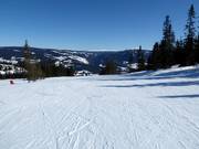 Easy slope at the Barne/Skiskoleheisen