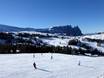 Rosengarten Group (Catinaccio): size of the ski resorts – Size Alpe di Siusi (Seiser Alm)