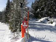 Rittisberg high-altitude cross-country trail at 1,500 metres