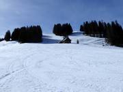 Easy slopes on the Chuenisbärgli