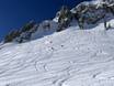 Ski resorts for advanced skiers and freeriding Western United States – Advanced skiers, freeriders Snowbird