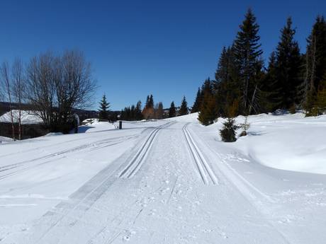 Cross-country skiing Gudbrand Valley (Gudbrandsdalen) – Cross-country skiing Kvitfjell
