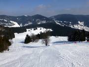 View of the slopes at the Schwinbach tow lift