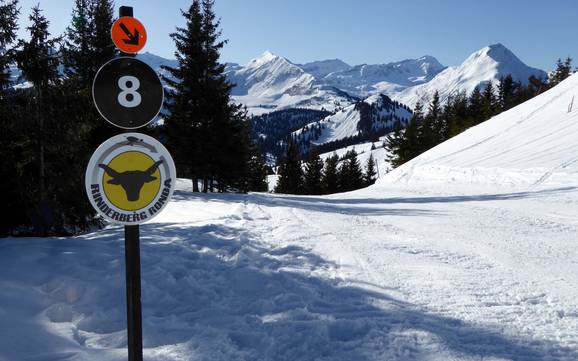 Ski resorts for advanced skiers and freeriding Saane Valley (Saanetal) – Advanced skiers, freeriders Rinderberg/Saanerslochgrat/Horneggli – Zweisimmen/Saanenmöser/Schönried/St. Stephan