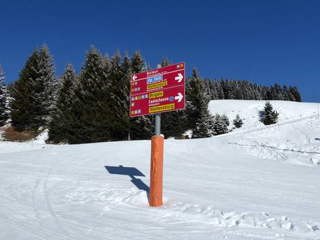 Surselva: orientation within ski resorts – Orientation Brigels/Waltensburg/Andiast