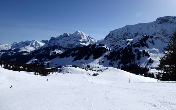 Biggest ski resort in Adelboden-Frutigen – ski resort Adelboden/Lenk – Chuenisbärgli/Silleren/Hahnenmoos/Metsch
