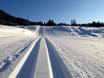 Cross-country skiing Plessur Alps – Cross-country skiing Arosa Lenzerheide