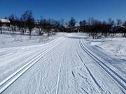Cross-country trails in Geilo