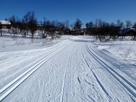 Cross-country skiing Southern Norway (Sør-Norge) – Cross-country skiing Geilo