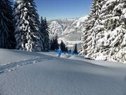 Ski route Ochsenalpe 