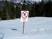 Skiing through the forest is prohibited.