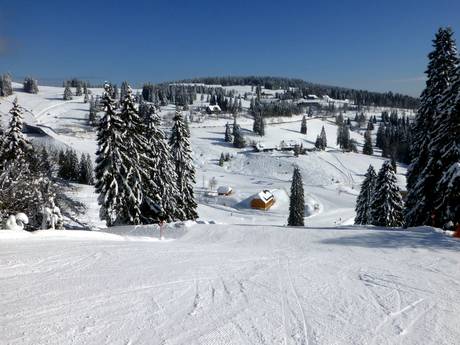 Black Forest (Schwarzwald): size of the ski resorts – Size Feldberg – Seebuck/Grafenmatt/Fahl
