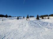 Easy panoramic slope