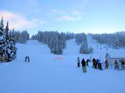 View of the slopes at Mt. Morrisey