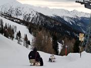 Rinerhorn toboggan run
