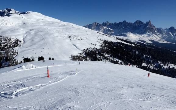 Skiing near Bellamonte