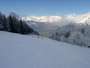 Plancerts downhill run