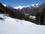Forest Run Mauterndorf (valley run)