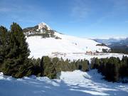 Mogul slope with a view of the Weißhorn