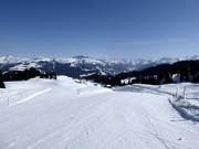 Danusa slope from the mountain station