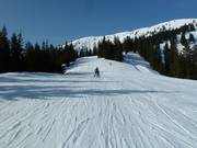 Slope at the Sattelkurvenlift