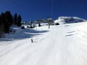 Even steep slopes are perfectly prepared.