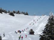 Vučak 2 - Rope tow/baby lift with low rope tow
