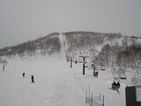 Slope offering Japanese Alps – Slope offering Mitsumata/Kagura/Tashiro (Mt. Naeba)