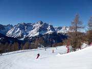 Wonderful slope from Stiergarten