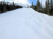 Mogul slope at the Gold Chair